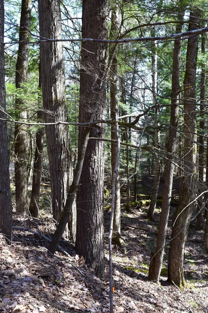 Lot 14 Hanover Drive Haverhill NH 03765