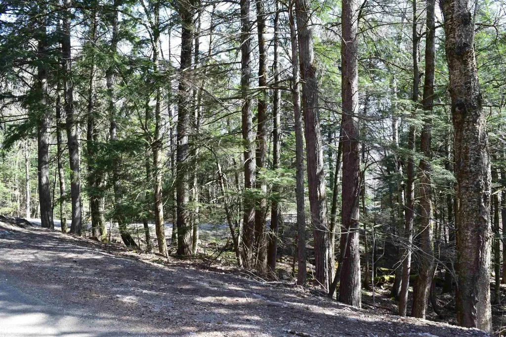 Lot 14 Hanover Drive Haverhill NH 03765