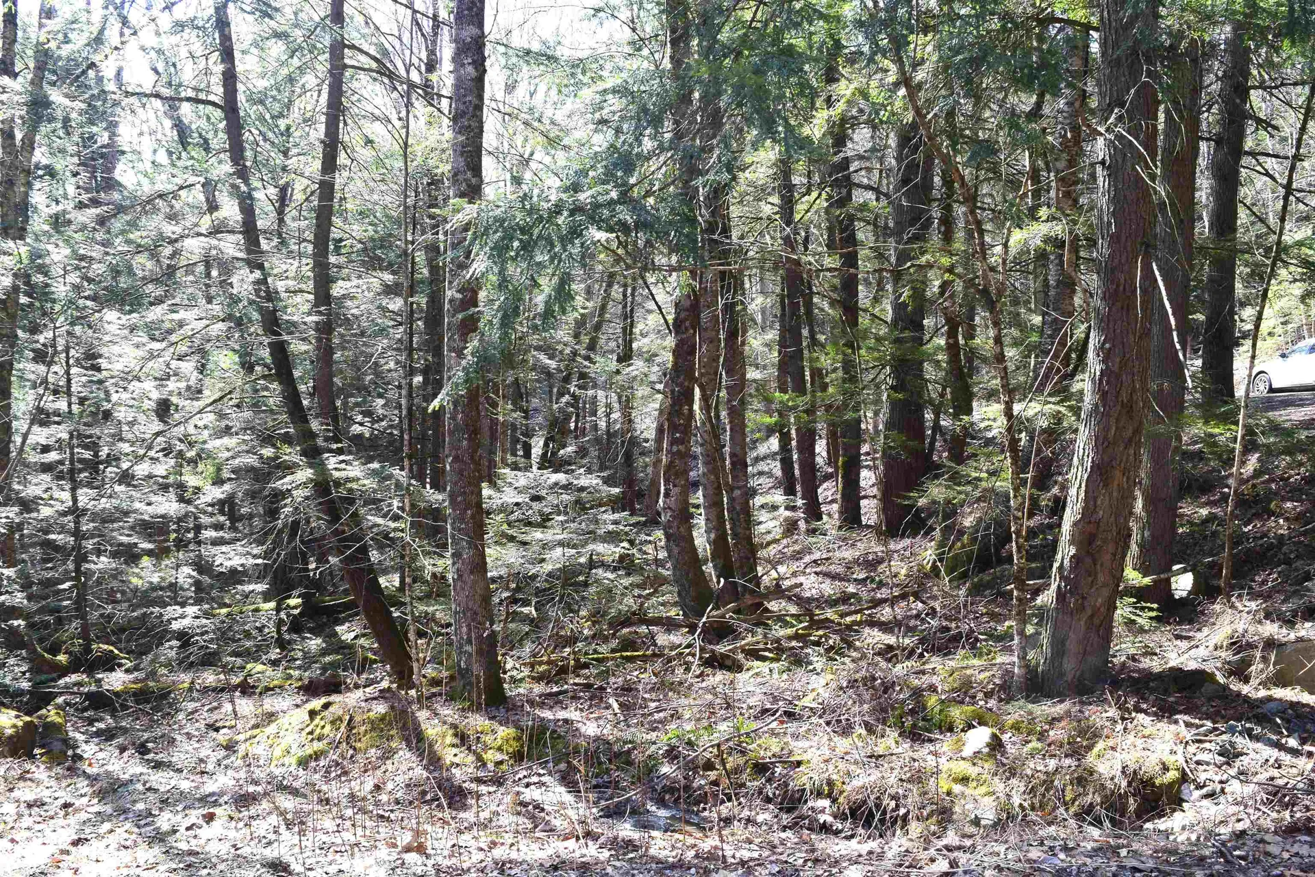 Lot 14 Hanover Drive Haverhill NH 03765