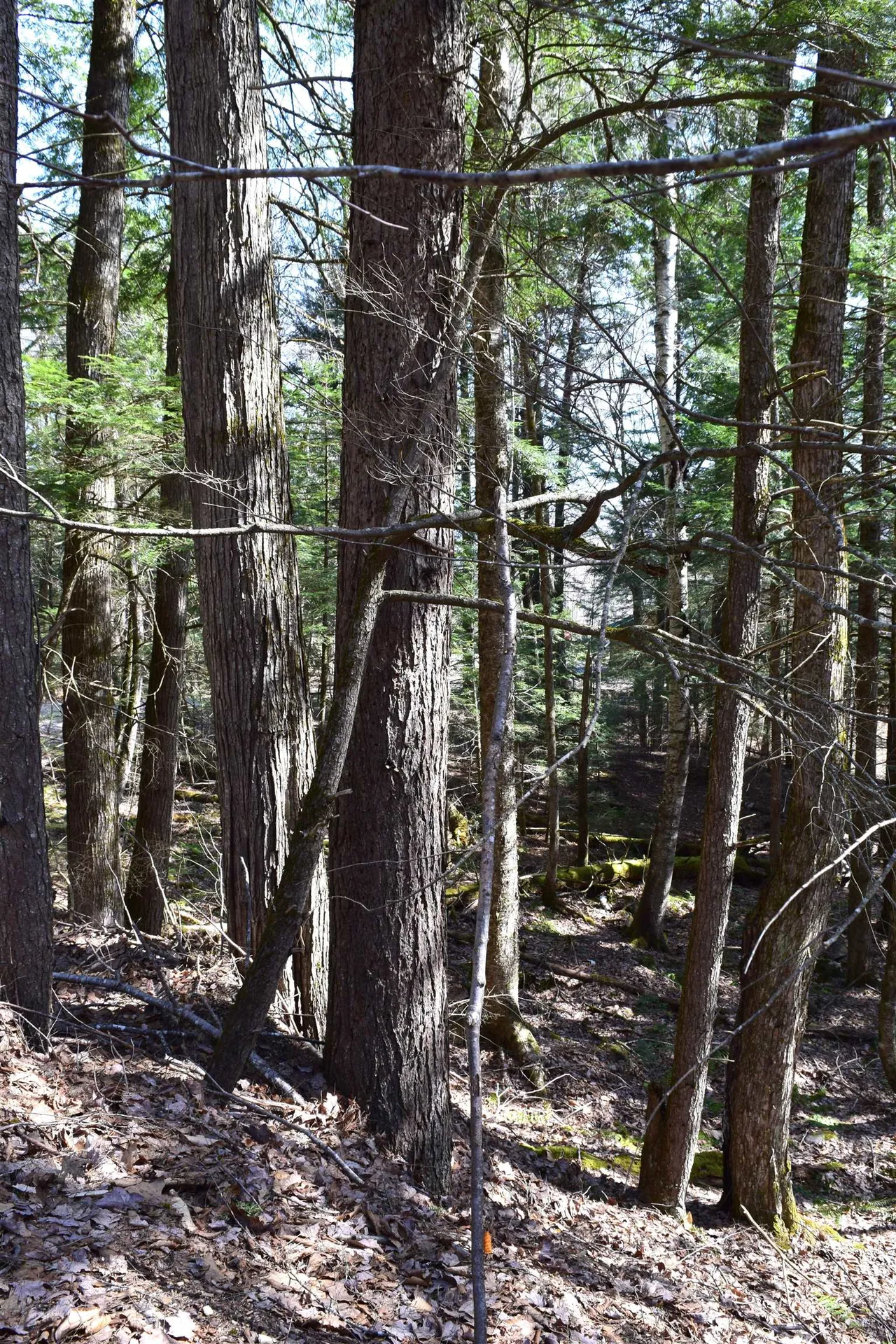 Lot 14 Hanover Drive Haverhill NH 03765