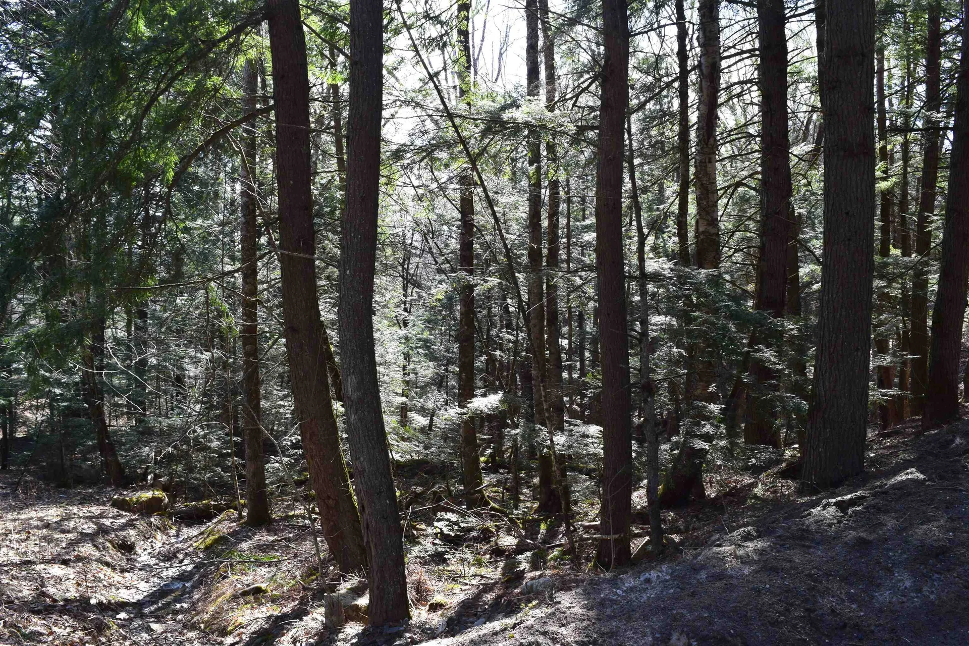 Lot 14 Hanover Drive Haverhill NH 03765