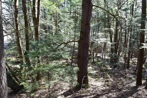 Lot 14 Hanover Drive Haverhill NH 03765