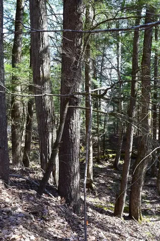 Lot 14 Hanover Drive Haverhill NH 03765