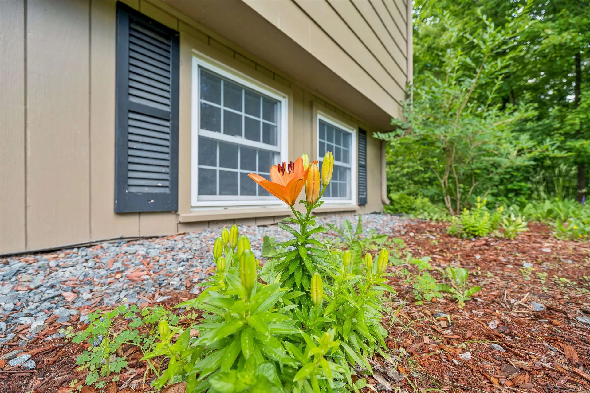 20 Tenley Drive Lebanon NH 03784