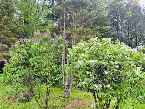 104 Juniper Ridge Road Brattleboro VT 05301