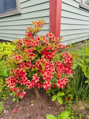 104 Juniper Ridge Road Brattleboro VT 05301