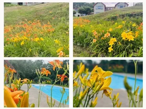 104 Juniper Ridge Road Brattleboro VT 05301