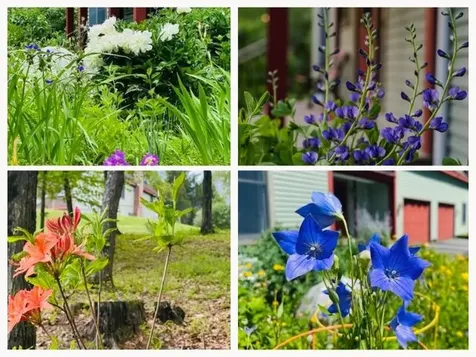 104 Juniper Ridge Road Brattleboro VT 05301