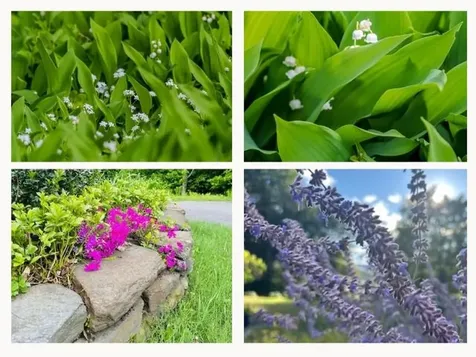 104 Juniper Ridge Road Brattleboro VT 05301