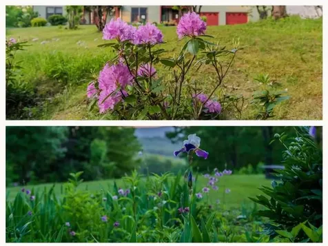 104 Juniper Ridge Road Brattleboro VT 05301