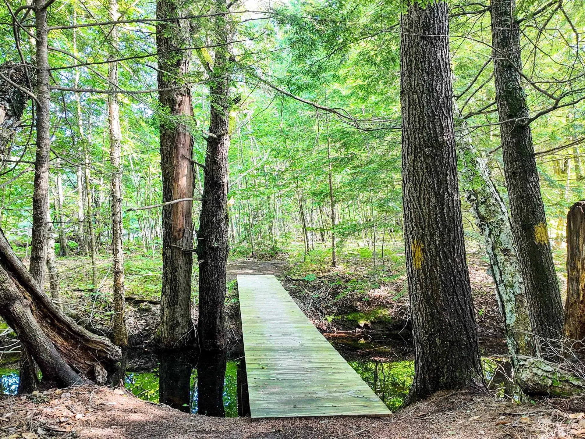 Map 264 Lot 65 Oxbow Lane Conway NH 03818