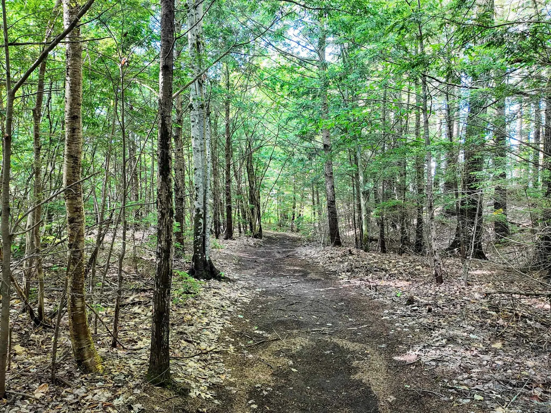 Map 264 Lot 65 Oxbow Lane Conway NH 03818