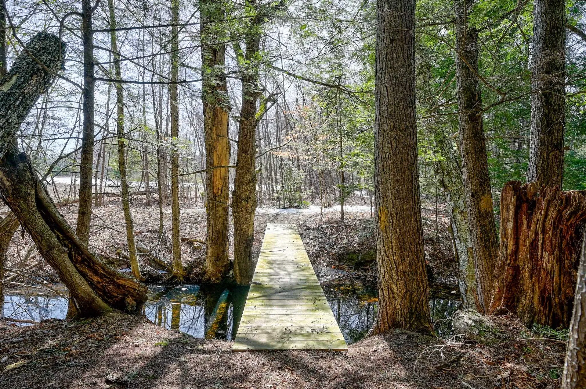 Map 264 Lot 65 Oxbow Lane Conway NH 03818