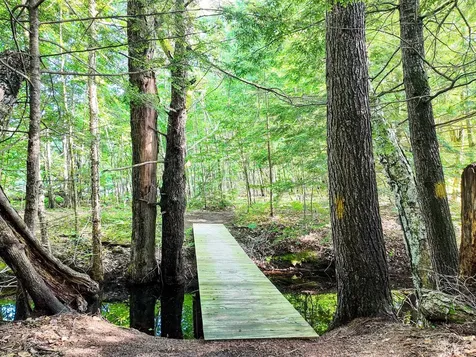Map 264 Lot 65 Oxbow Lane Conway NH 03818