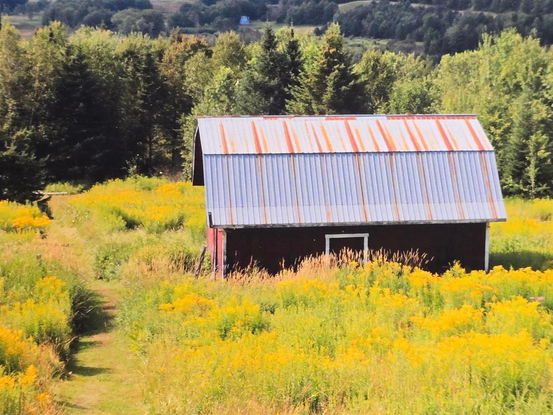 547 Center Hill Road Albany VT 05820