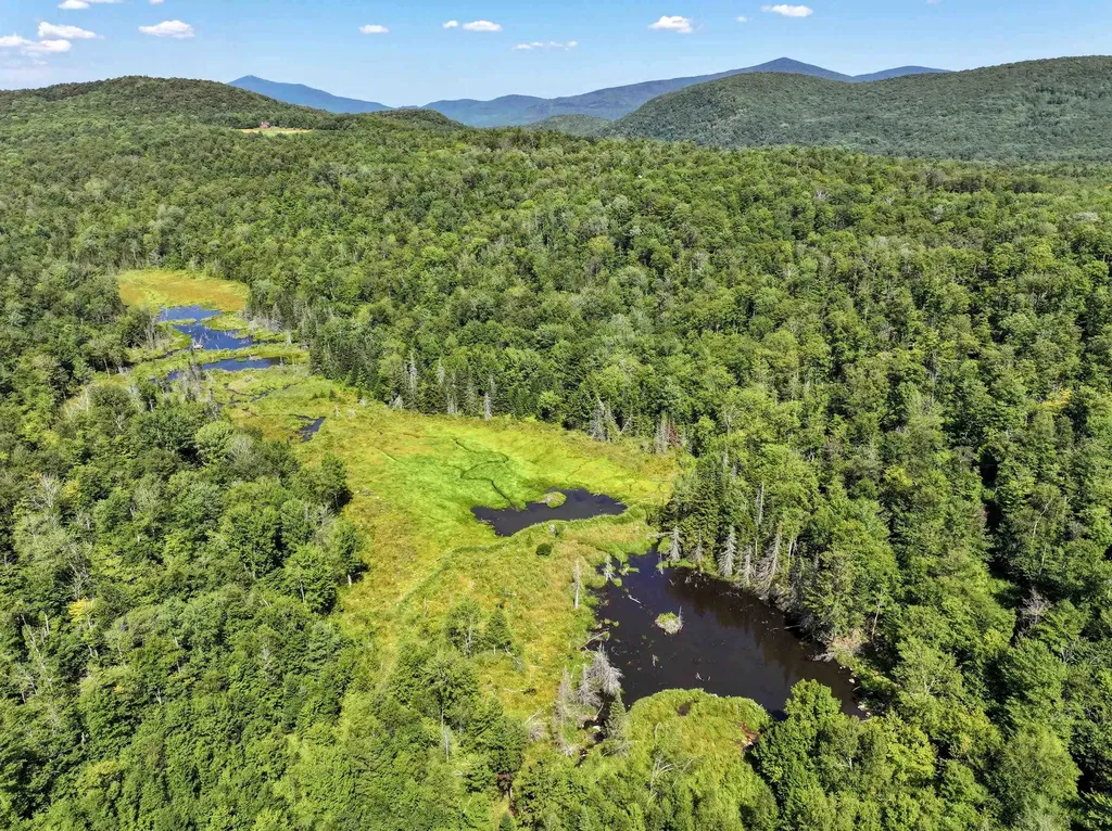 Lot 4 Lincoln Road Ripton VT 05766