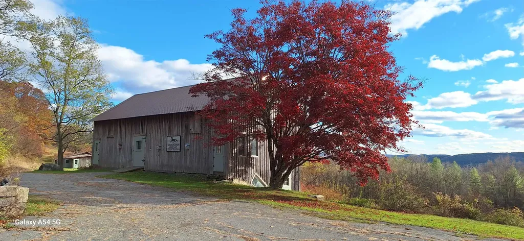 303 Woodbury Road Springfield VT 05156