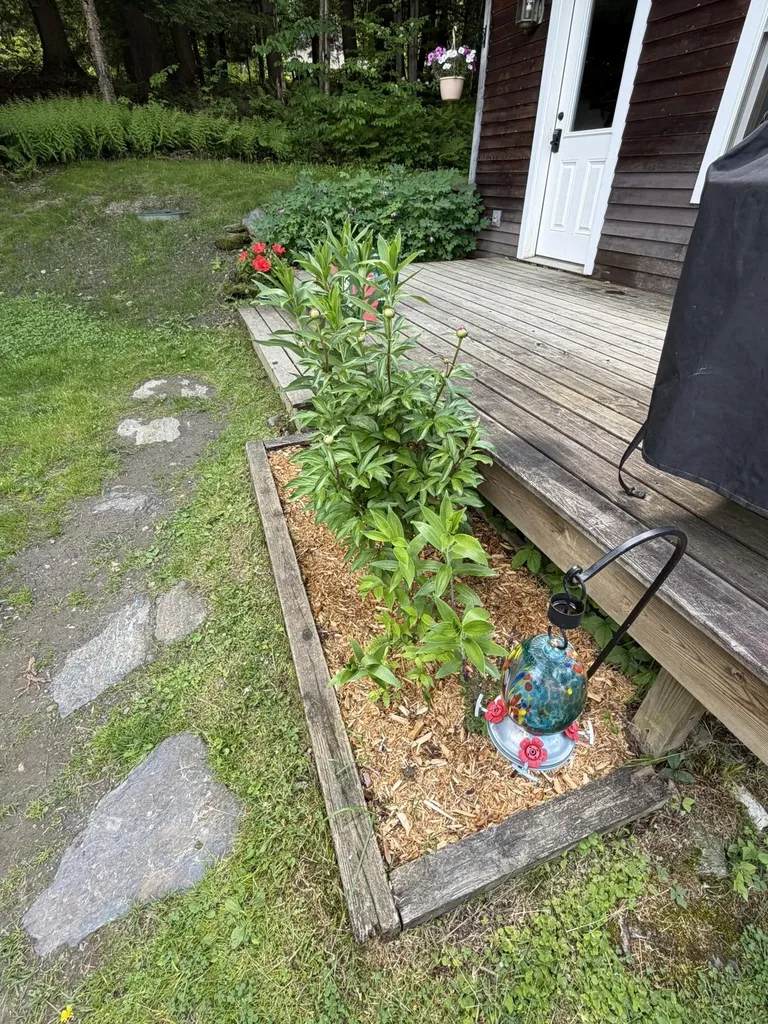 371 Maplewood Common Moretown VT 05660-9199