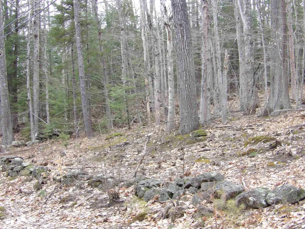 Lot 9 Roxbury Road Sanbornton NH 03269