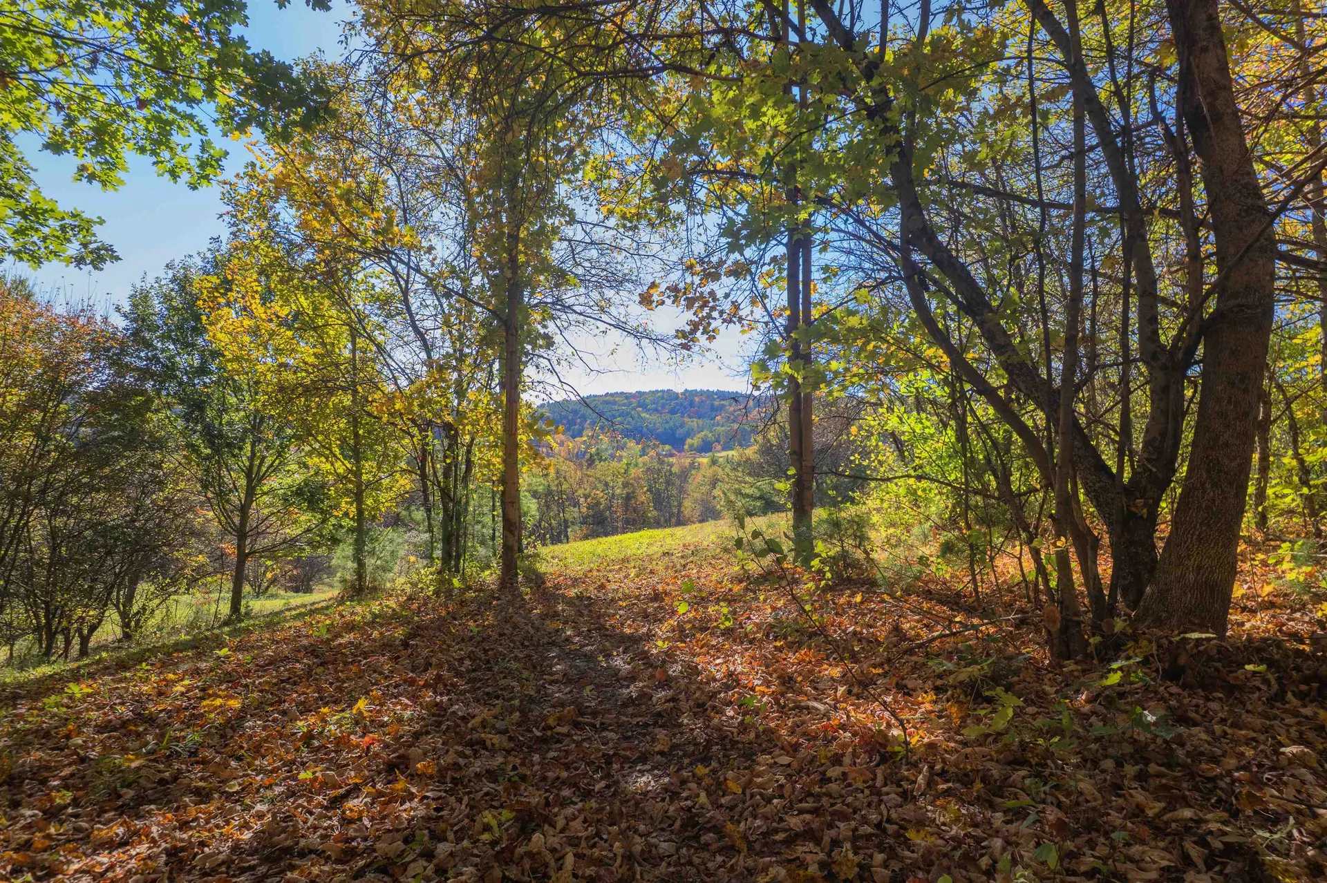 0 Newton Lane Hartford VT 05001