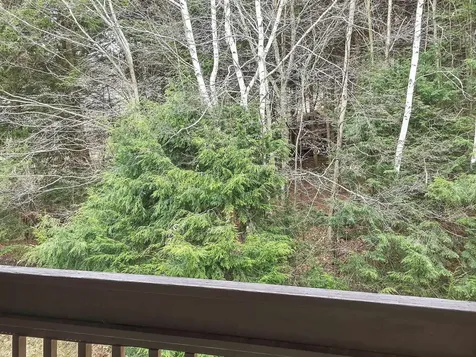 70 Mountains Edge Road West Windsor VT 05037