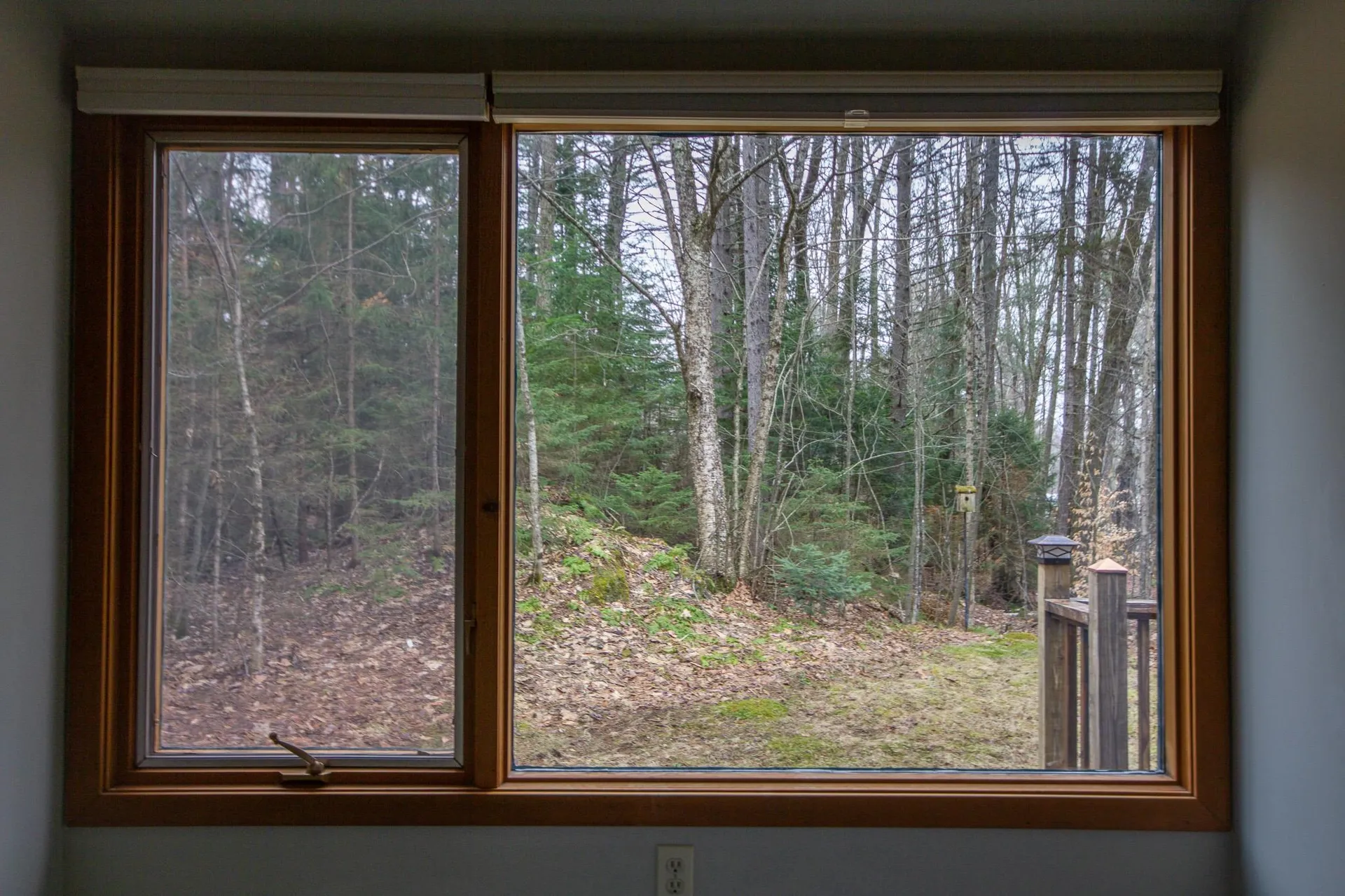 20 Edwin's Pond Road Rochester VT 05767