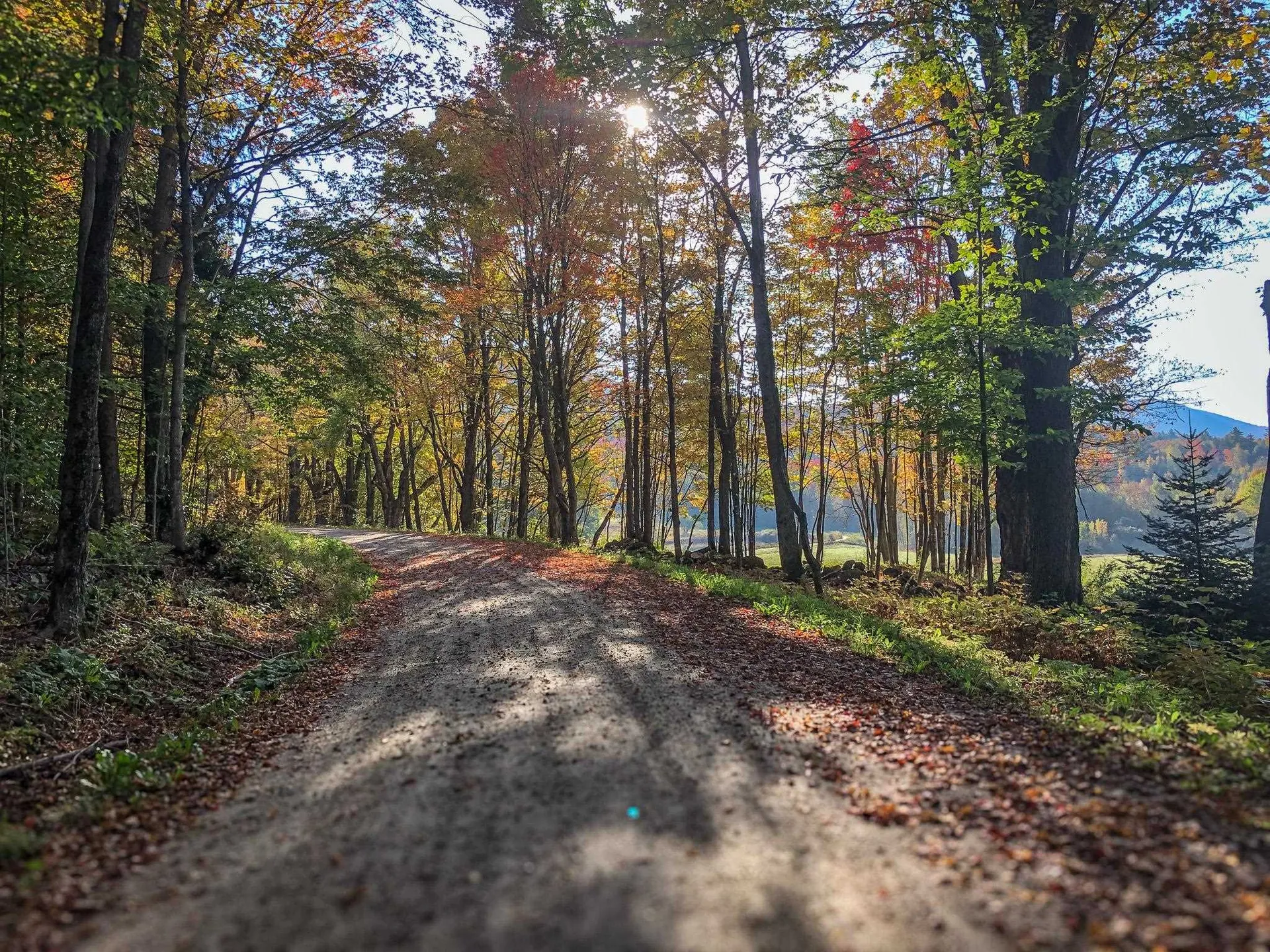 20 Edwin's Pond Road Rochester VT 05767