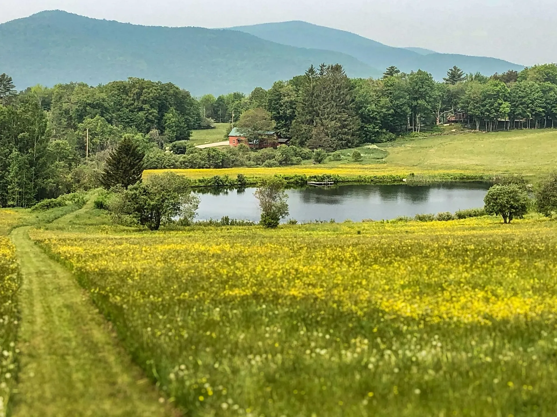 20 Edwin's Pond Road Rochester VT 05767