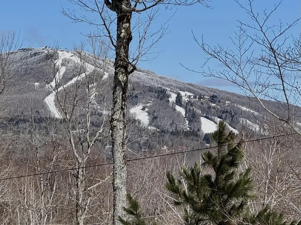 520 Moose Hollow Road Winhall VT 05340