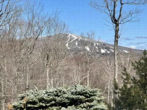 520 Moose Hollow Road Winhall VT 05340