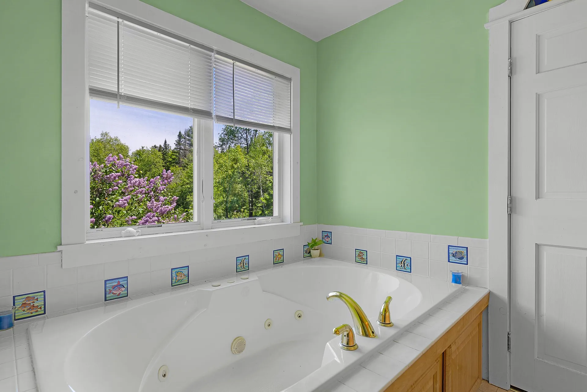1078 Brook Road Marshfield VT 05658