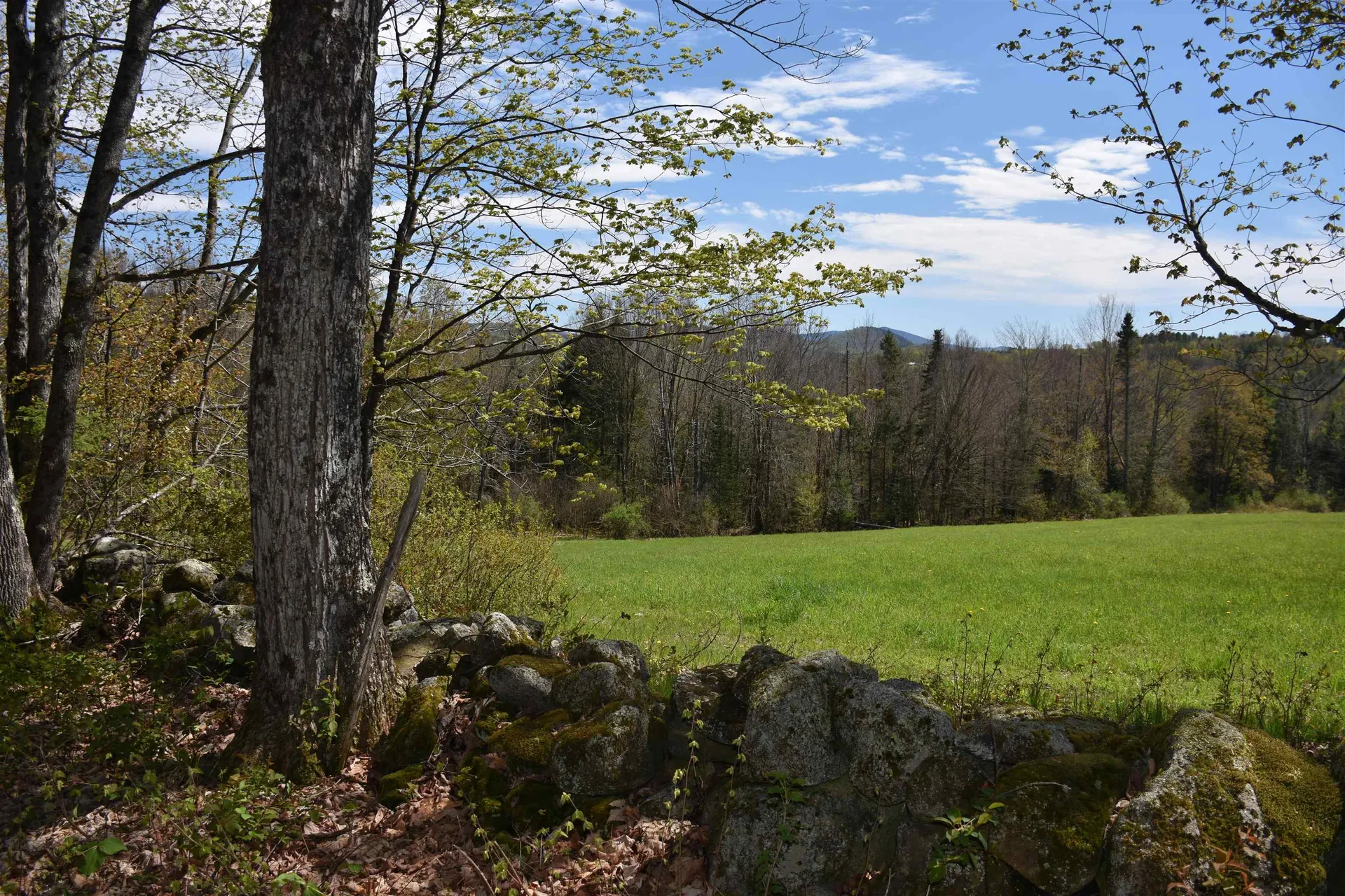 1078 Brook Road Marshfield VT 05658