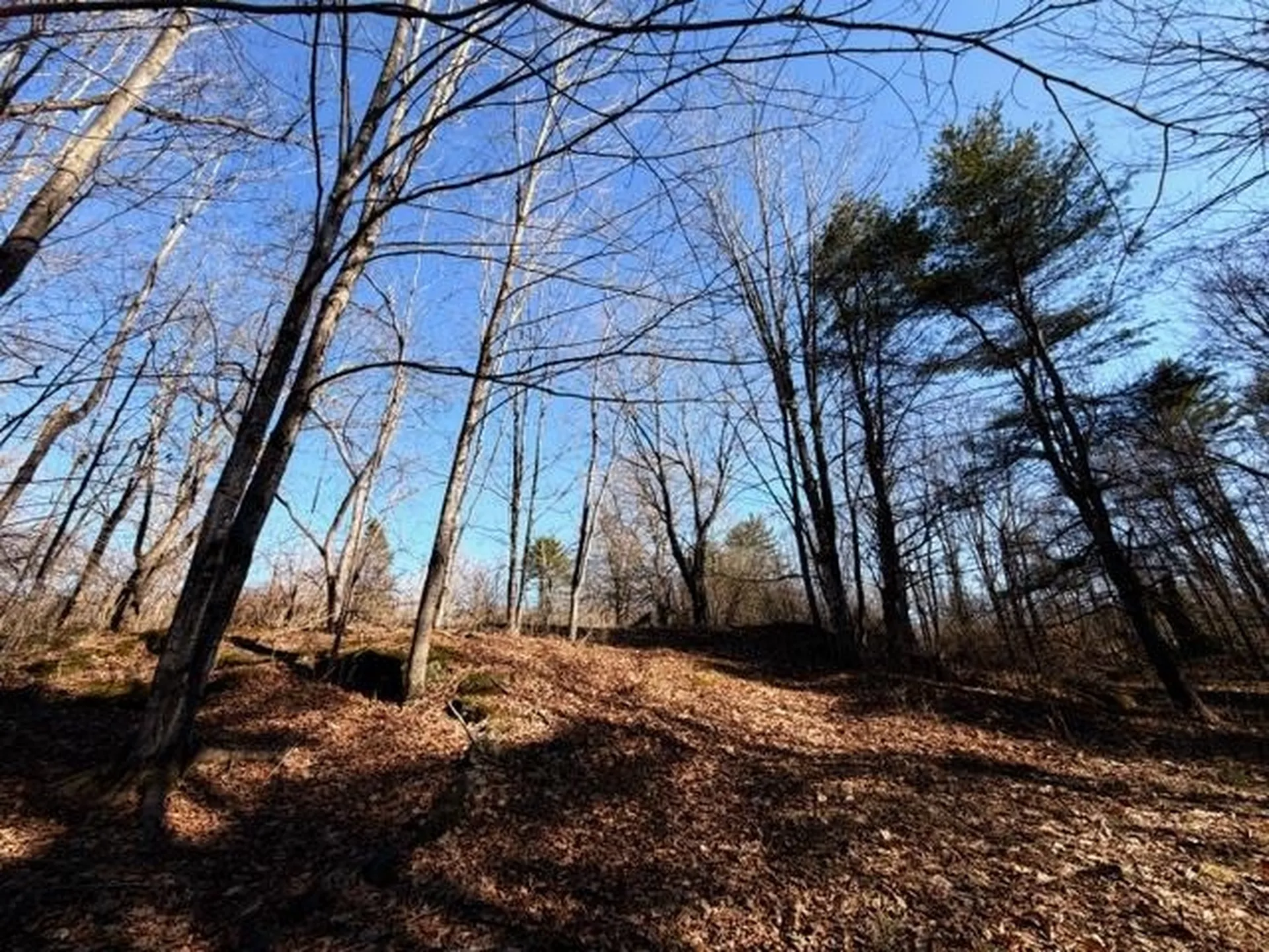 702 Province Road Belmont NH 03220