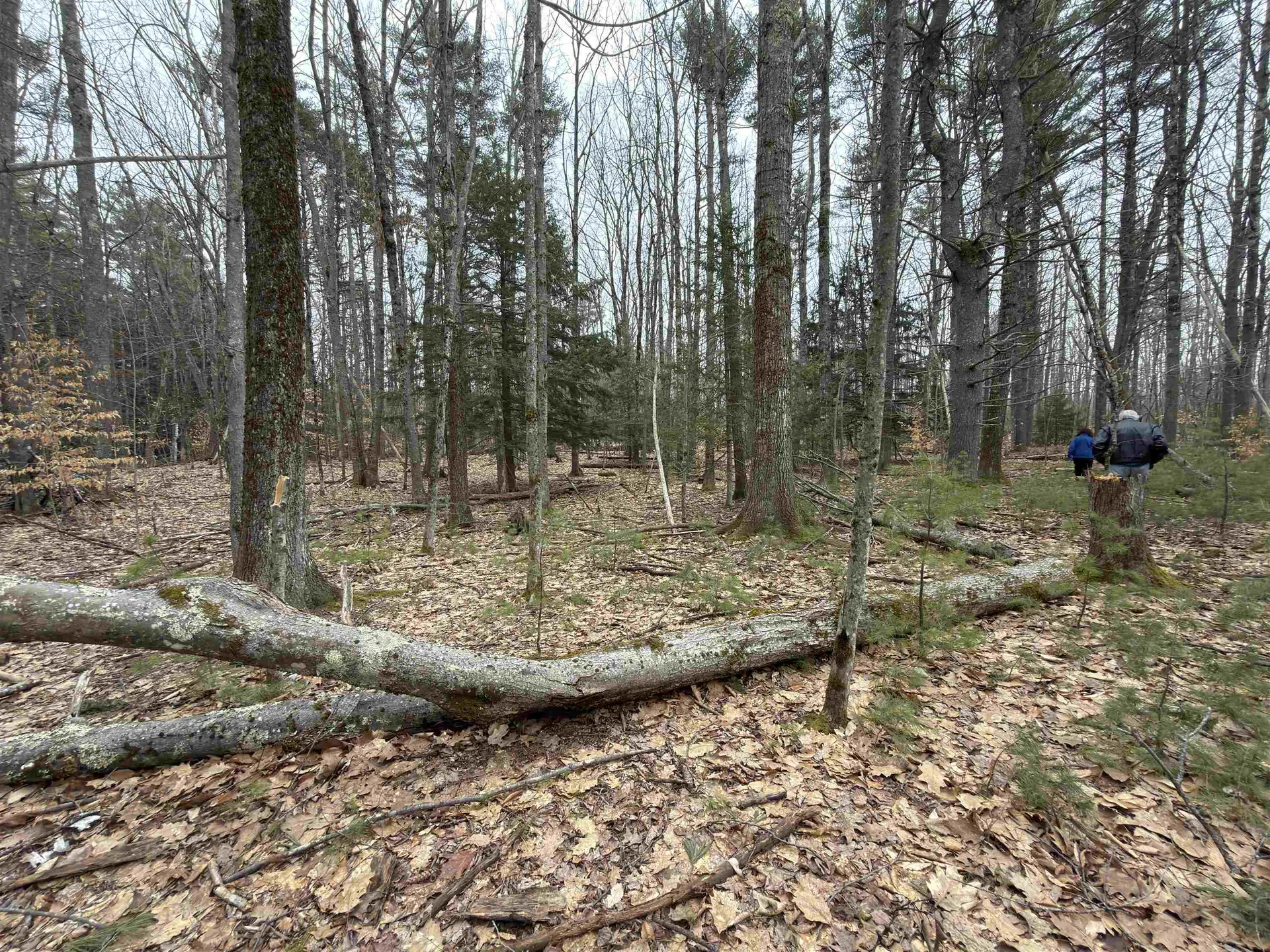 702 Province Road Belmont NH 03220