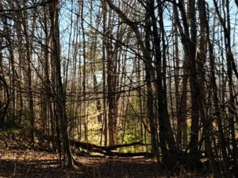 702 Province Road Belmont NH 03220