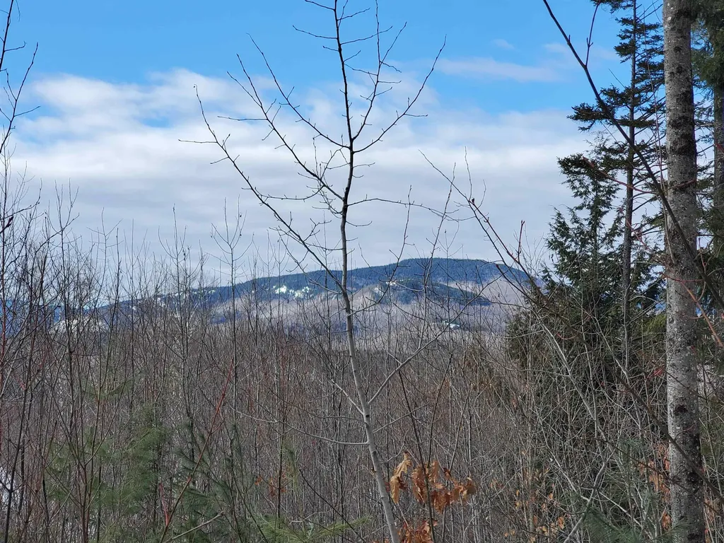 00 Tin Mine Road Jackson NH 03846