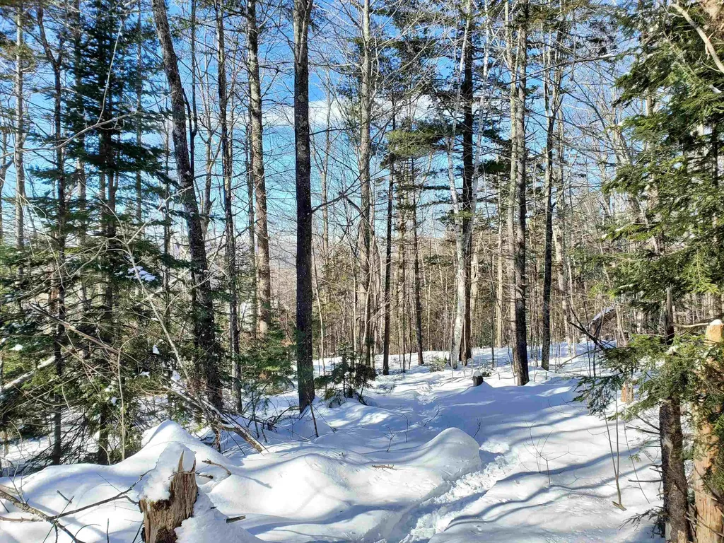 00 Tin Mine Road Jackson NH 03846