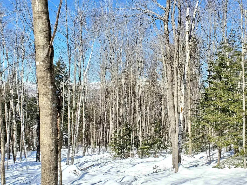 00 Tin Mine Road Jackson NH 03846