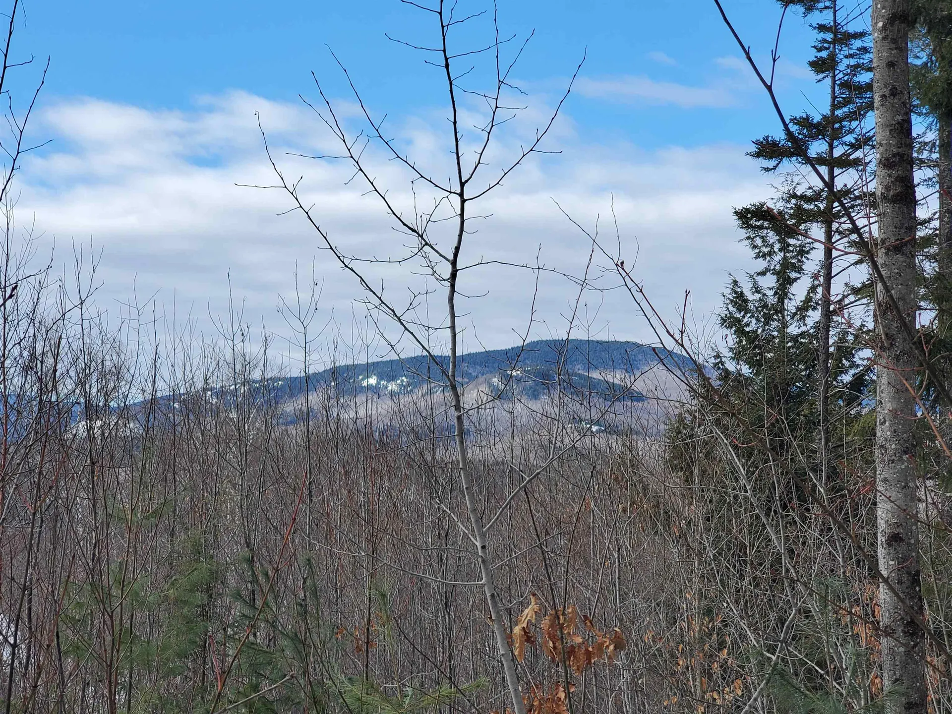 00 Tin Mine Road Jackson NH 03846