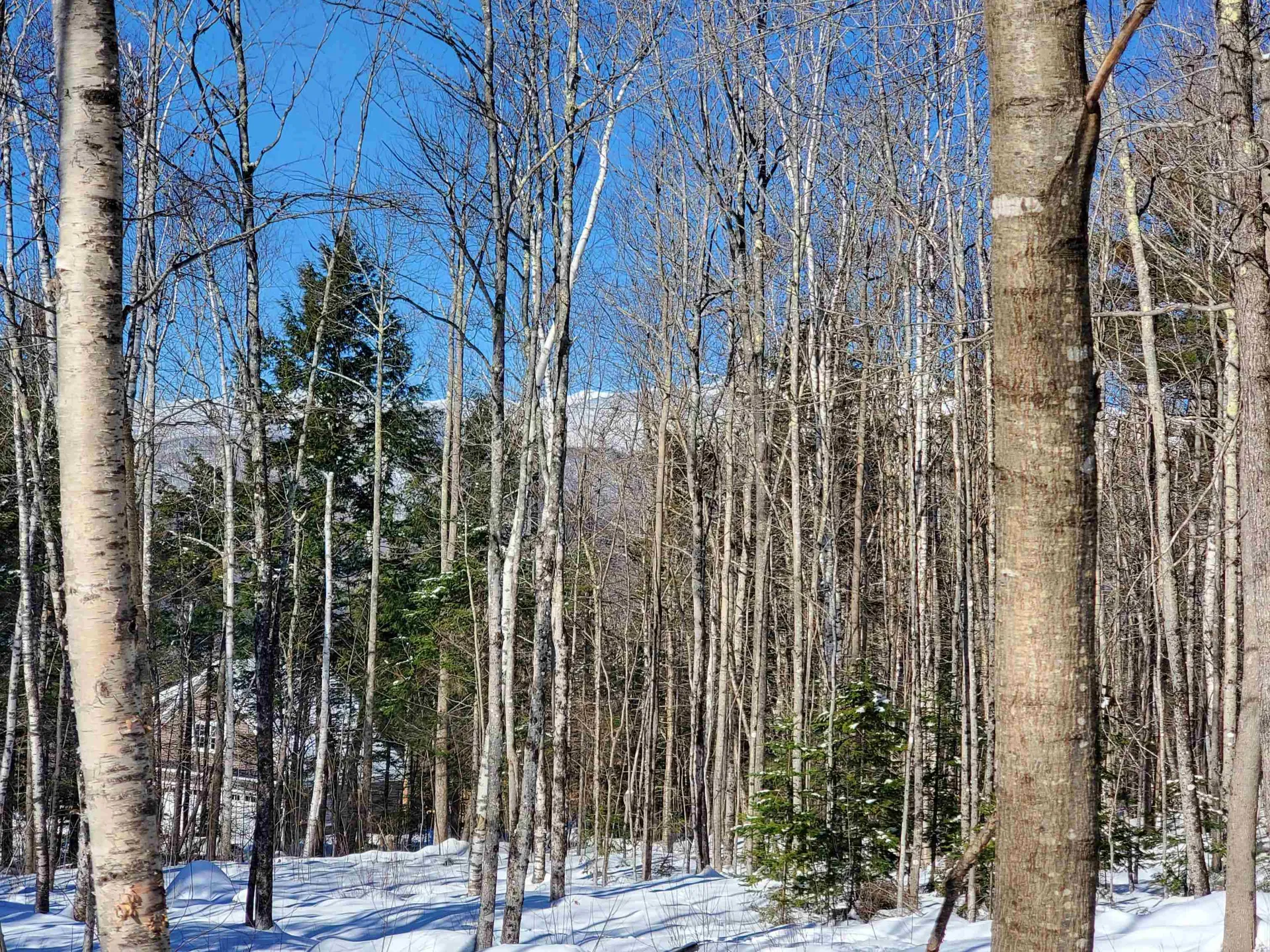 00 Tin Mine Road Jackson NH 03846