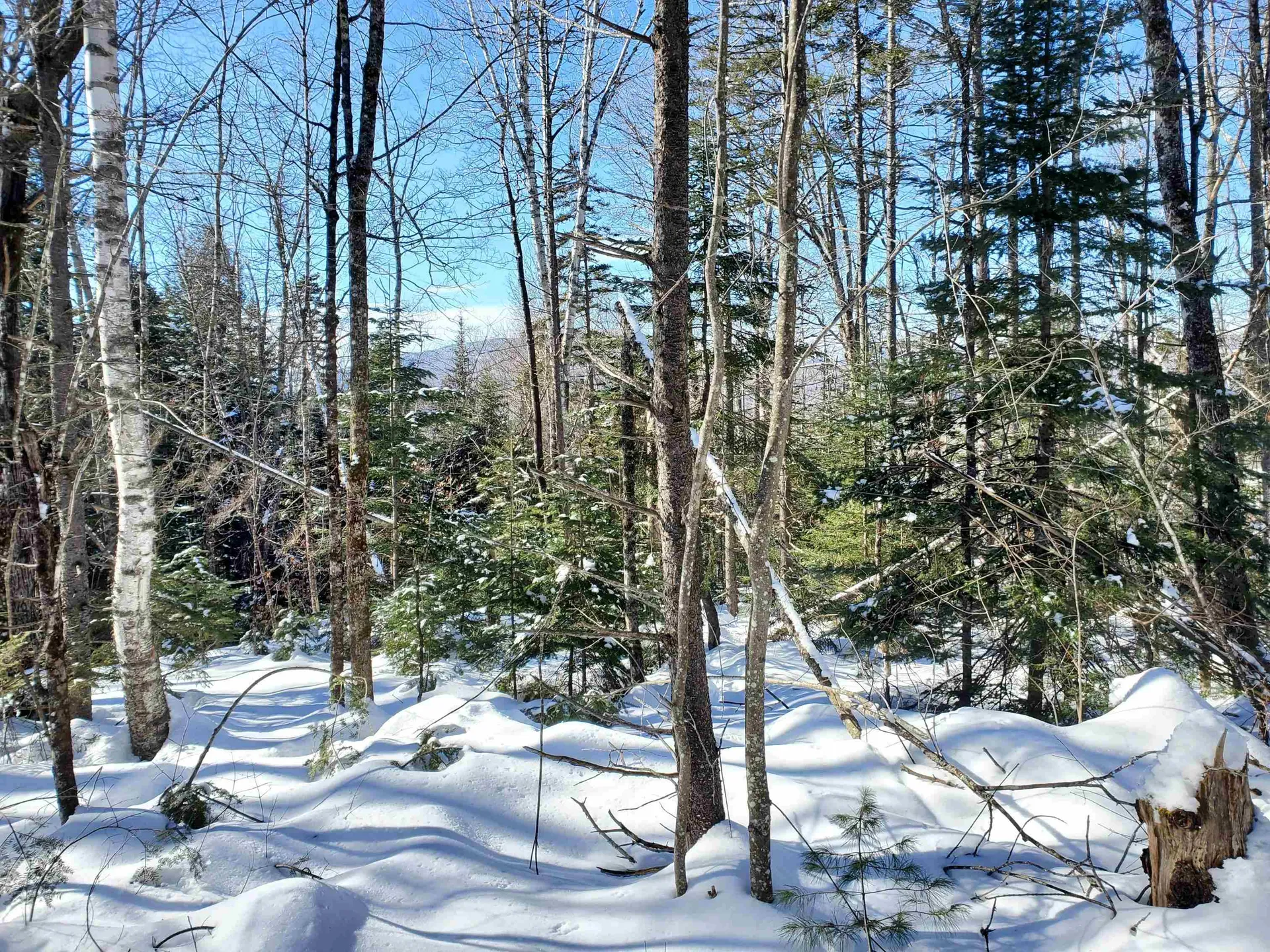 00 Tin Mine Road Jackson NH 03846