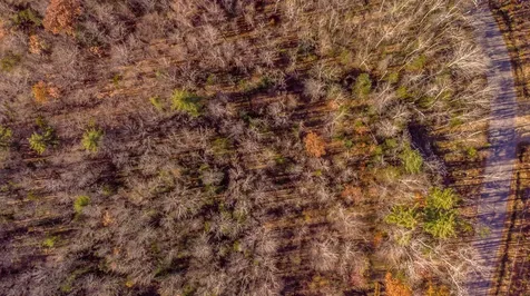 00 Tin Mine Road Jackson NH 03846