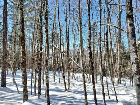 00 Tin Mine Road Jackson NH 03846