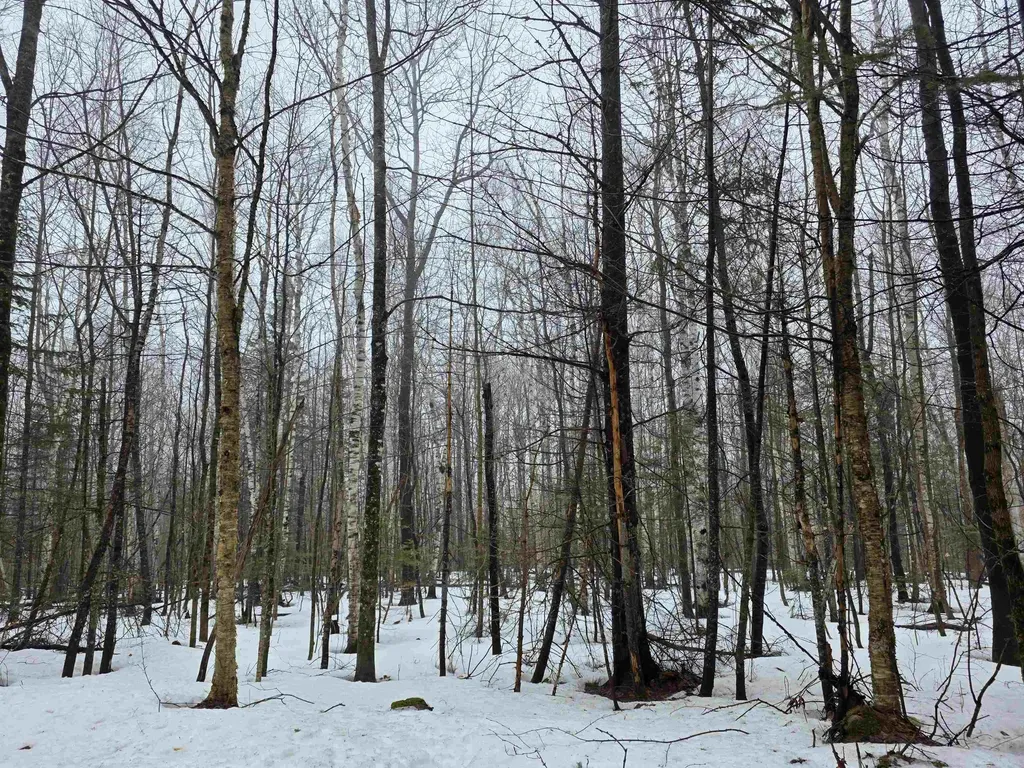 1500 Allard Hill Road Wheelock VT 05851