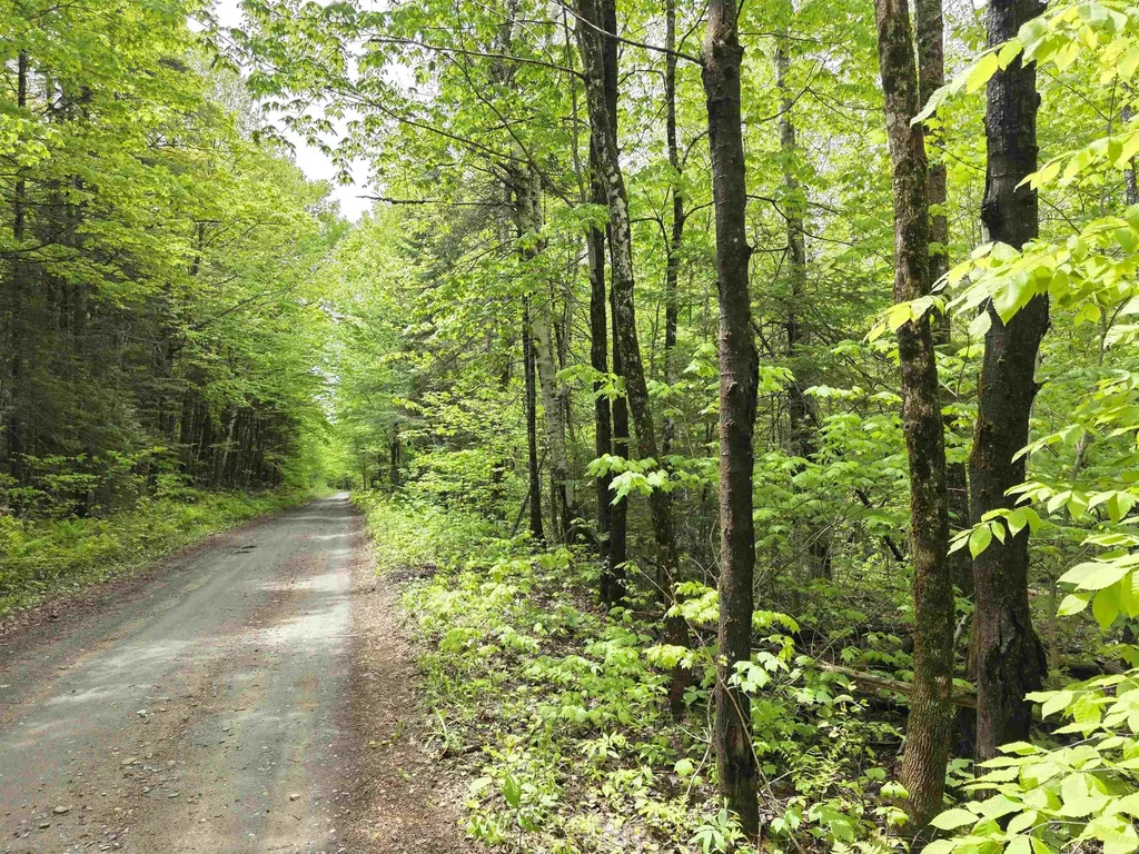 1500 Allard Hill Road Wheelock VT 05851