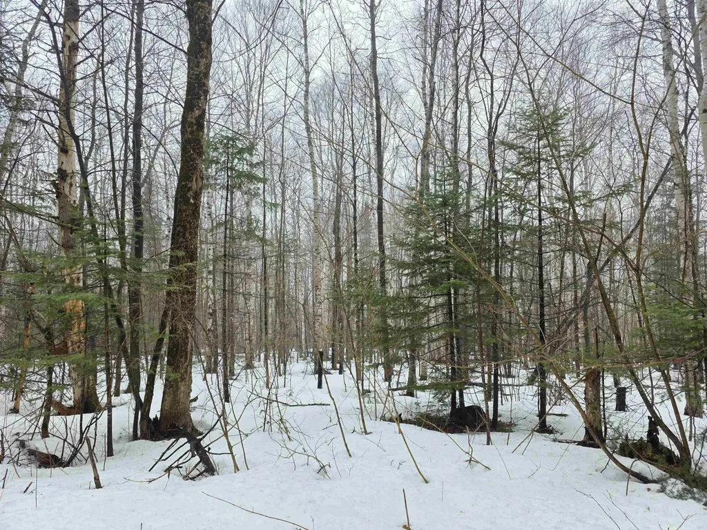 1500 Allard Hill Road Wheelock VT 05851