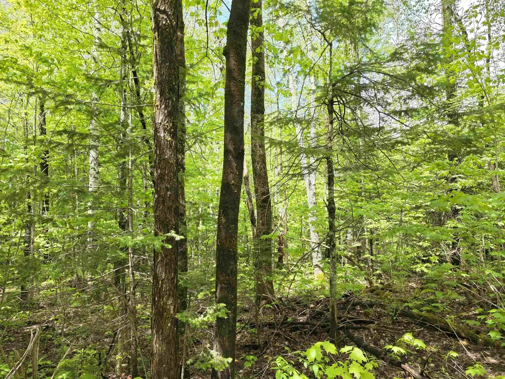 1500 Allard Hill Road Wheelock VT 05851