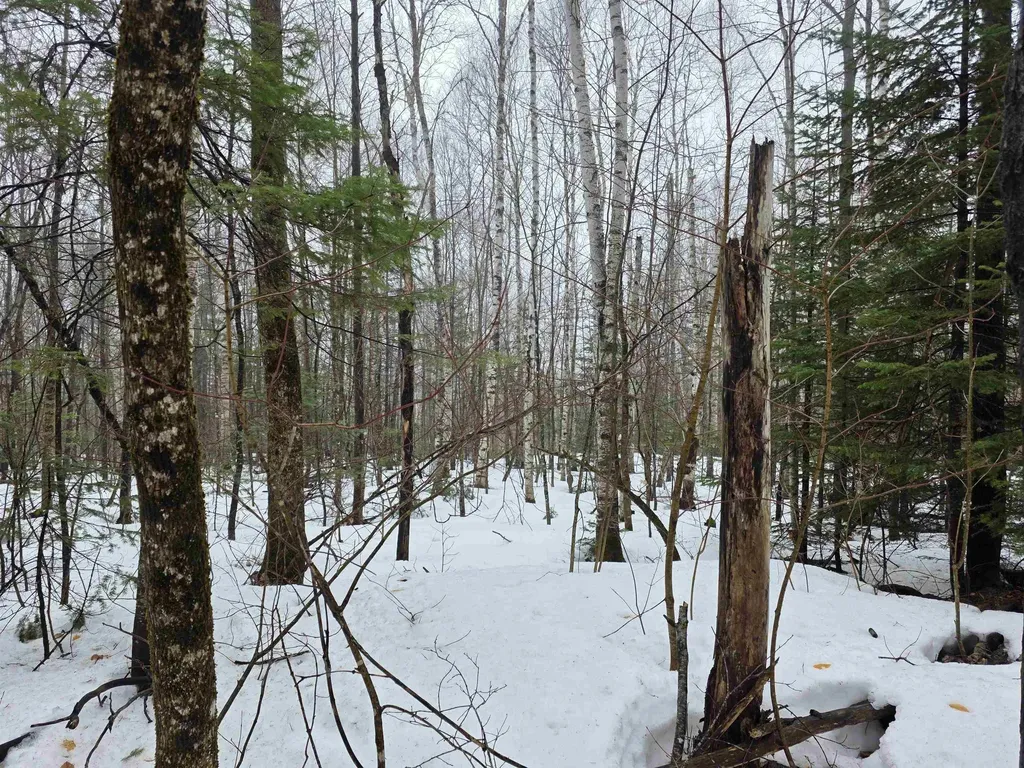 1500 Allard Hill Road Wheelock VT 05851