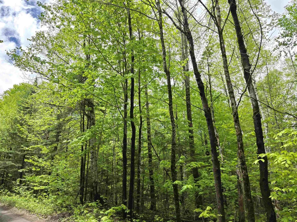 1500 Allard Hill Road Wheelock VT 05851