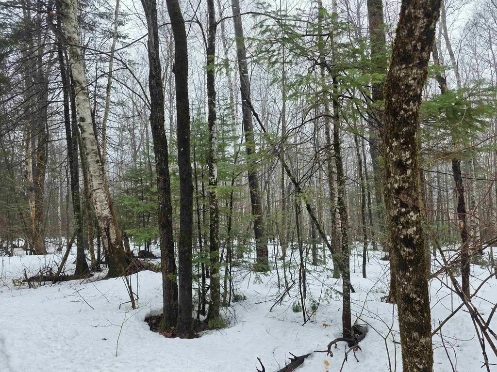 1500 Allard Hill Road Wheelock VT 05851